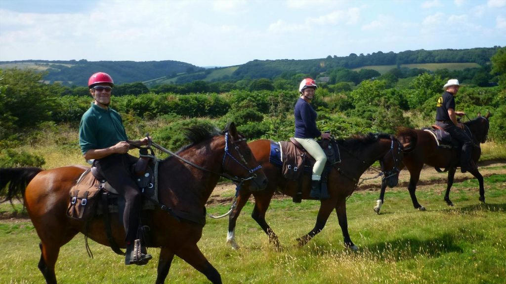 Ranch holidays, Riding Holidays, Horse Riding Dartmoor Dartmoor Riding Holidays