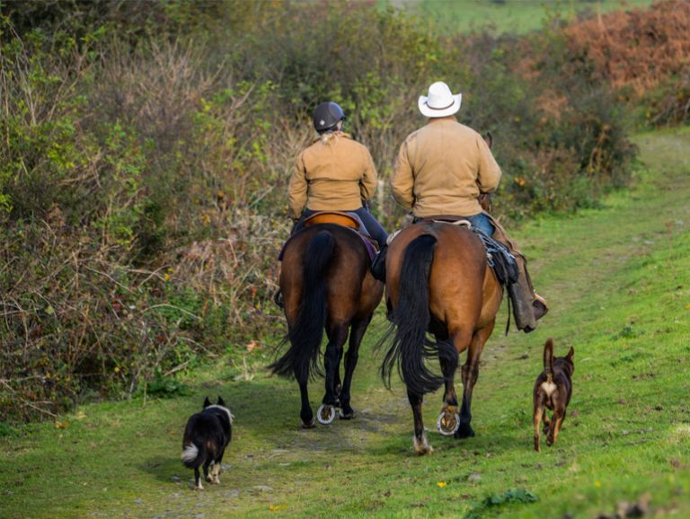 Ranch holidays, Riding Holidays, Horse Riding Dartmoor