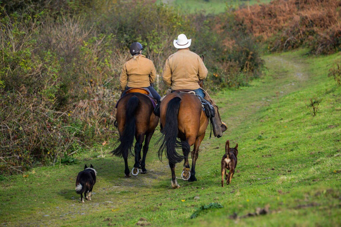 Ranch holidays, Riding Holidays, Horse Riding Dartmoor