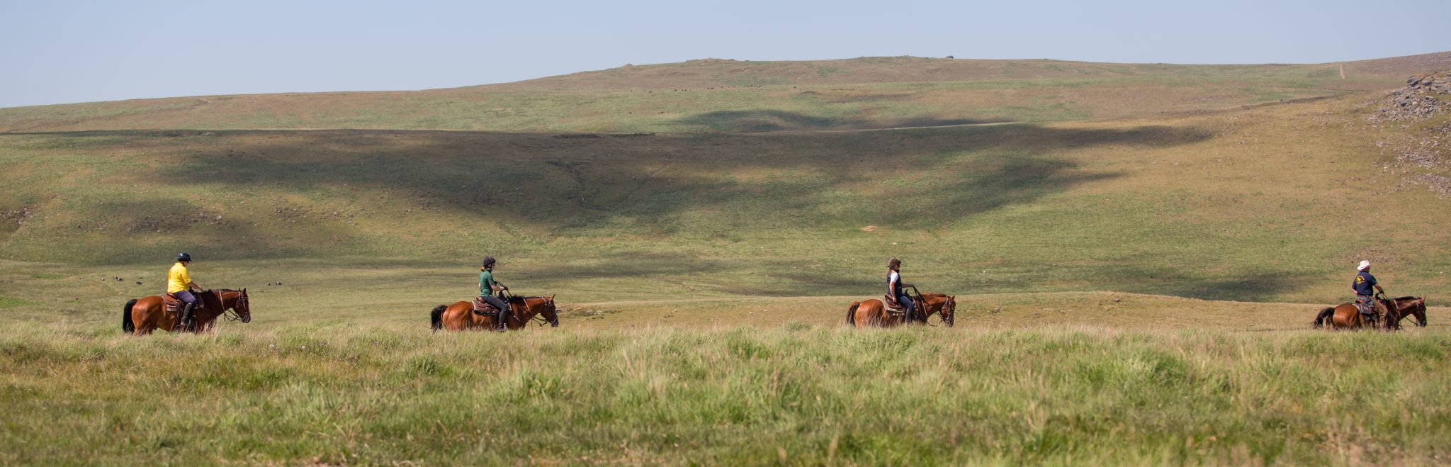 Horse Riding Dartmoor Crossing Western Riding on Drtmoor