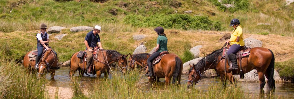 Dartmoor Horse Riding Experiences | Western Riding Ranch Holidays
