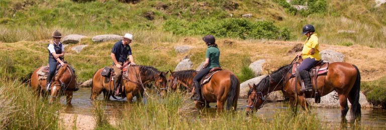 dartmoor crossing 768x260 - The Experiences