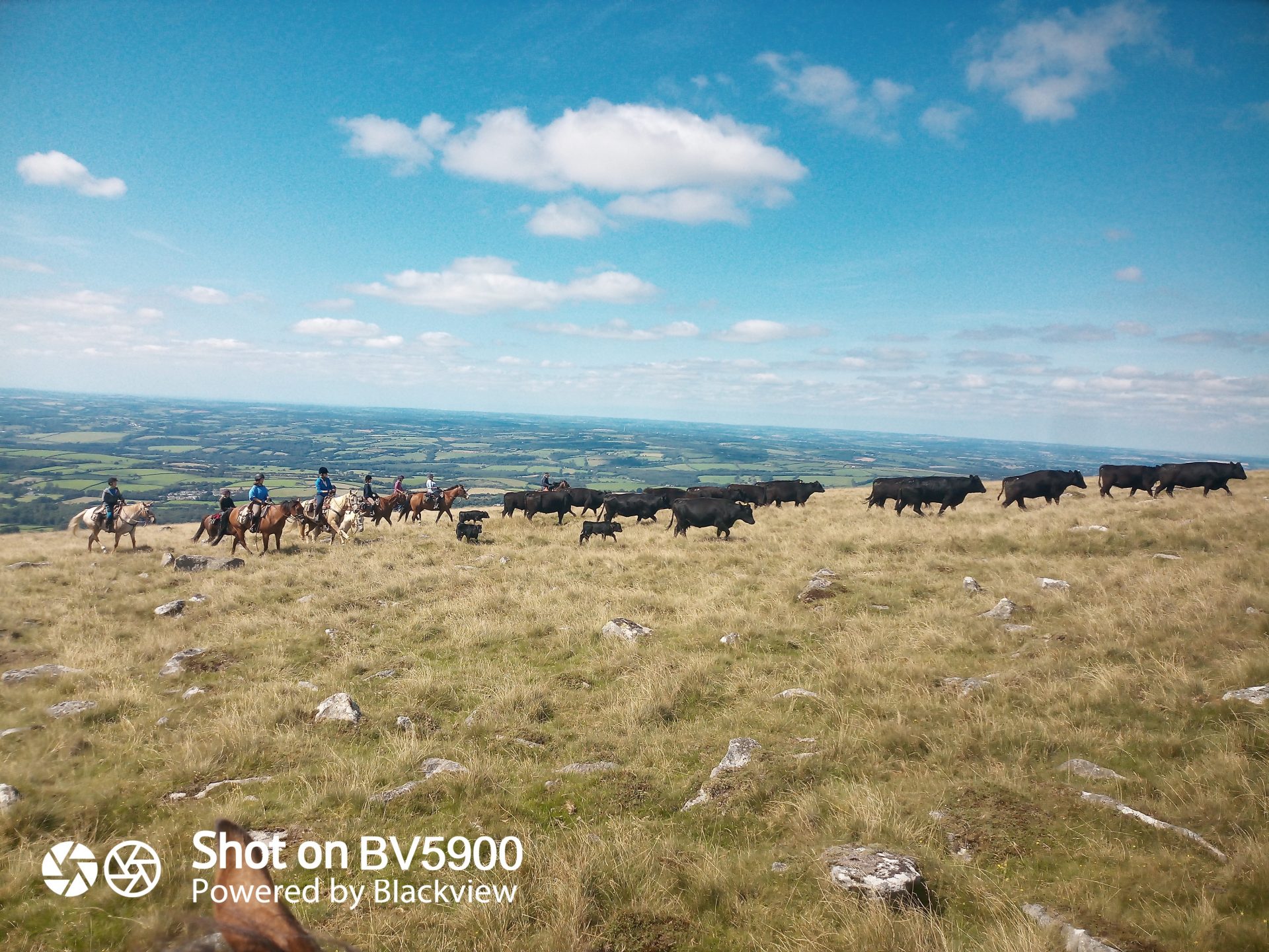 IMG_20210825_141529_8 Dartmoor Riding Holidays