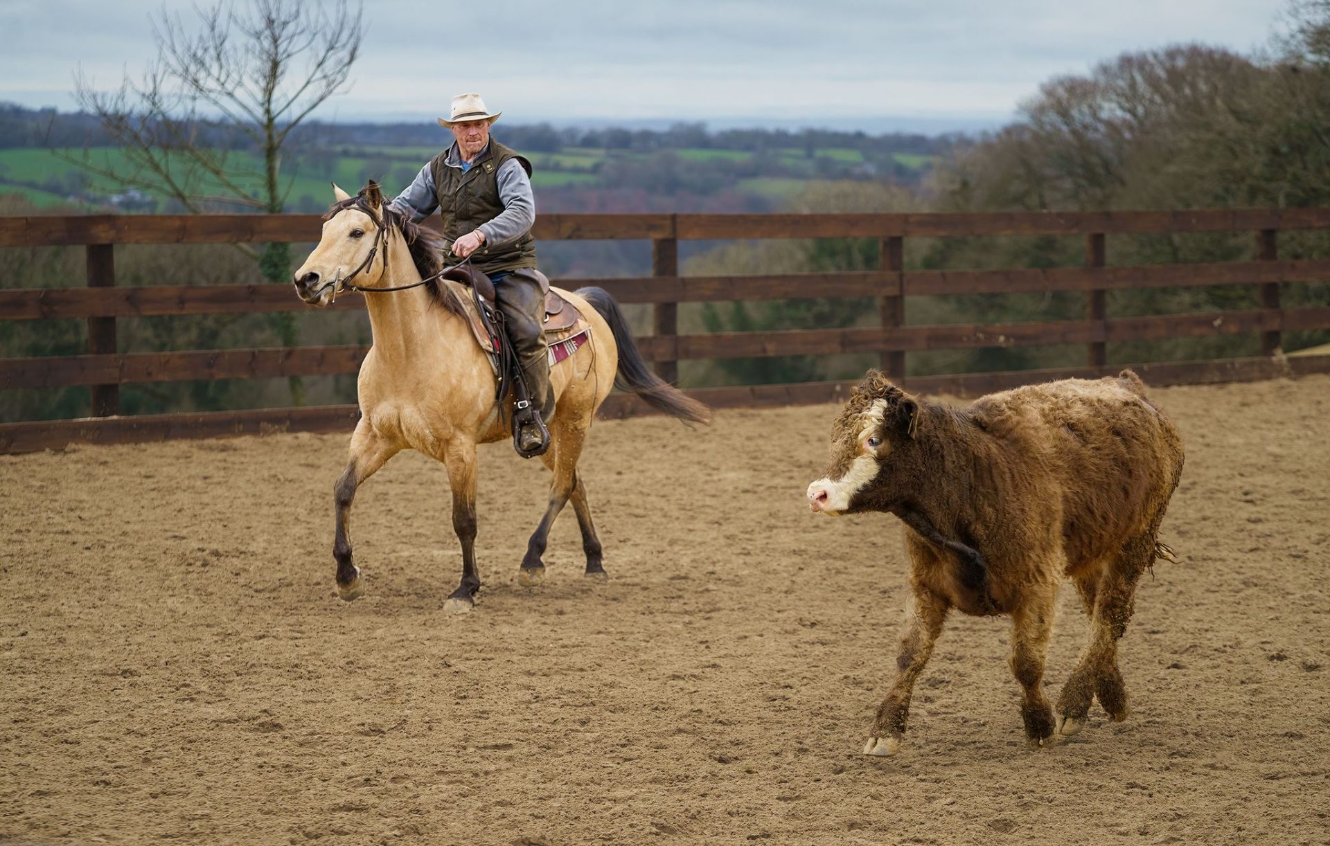 Dartmoor Trail Riding Holidays Dartmoor Ranch Holidays