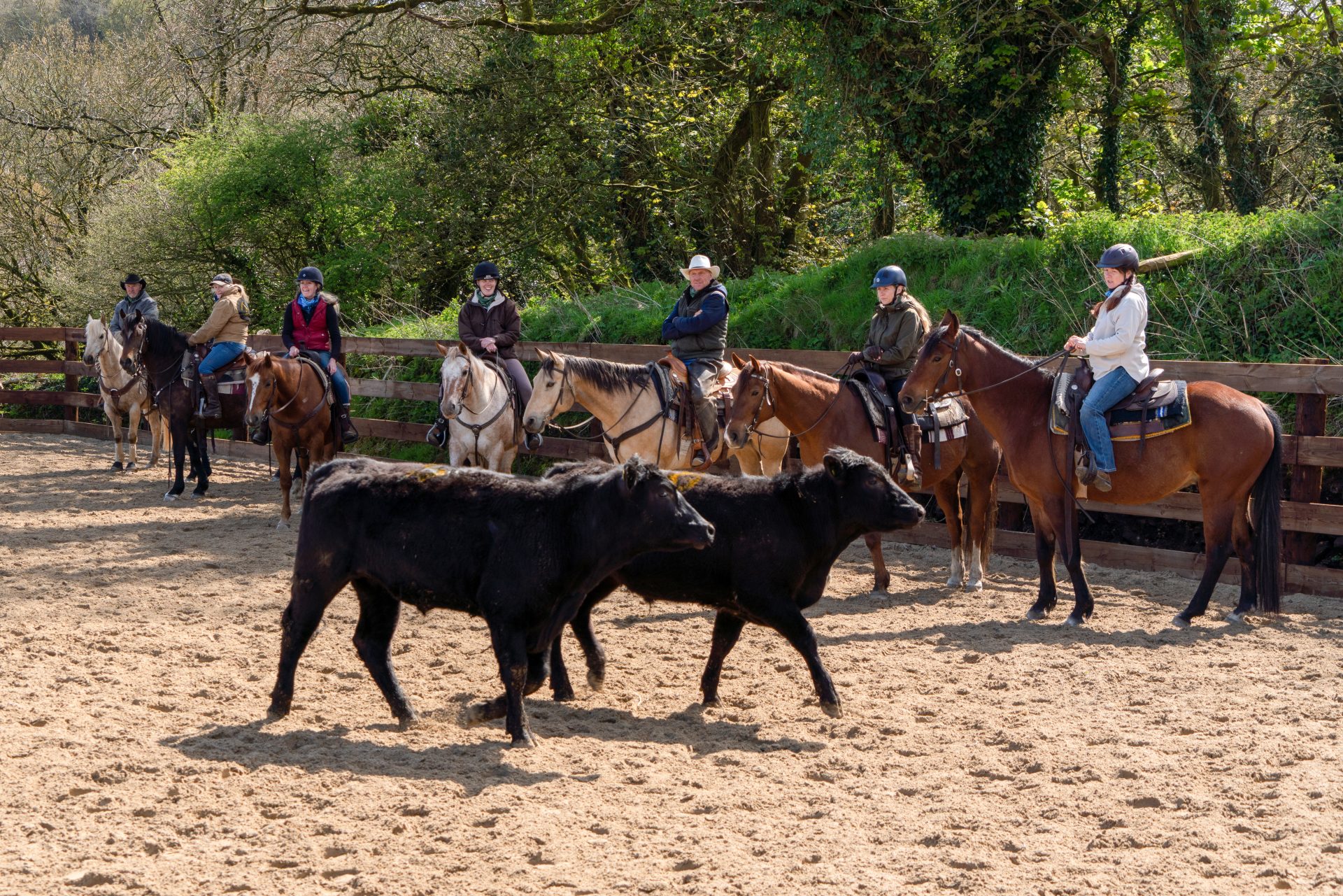 20230425 DRH Western Experience (245) Dartmoor Riding Holidays