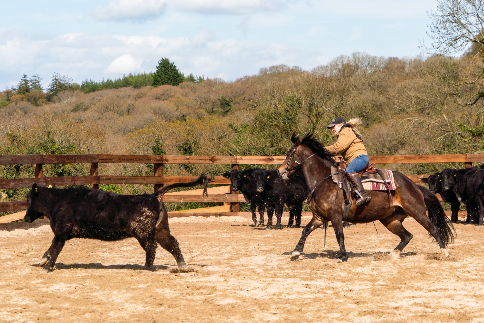 2023 04 25 DRH Western Experience 671 - Western Experience Days