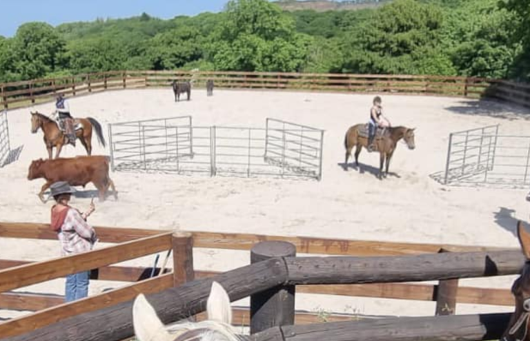 western holidays 768x495 - The Experiences